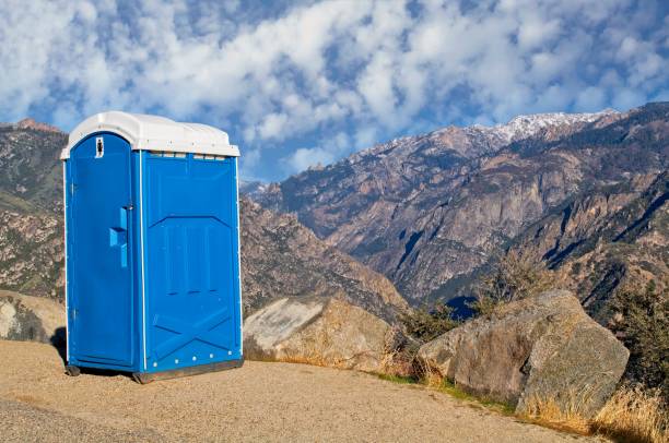 Types of Portable Toilets We Offer in Carpentersville, IL